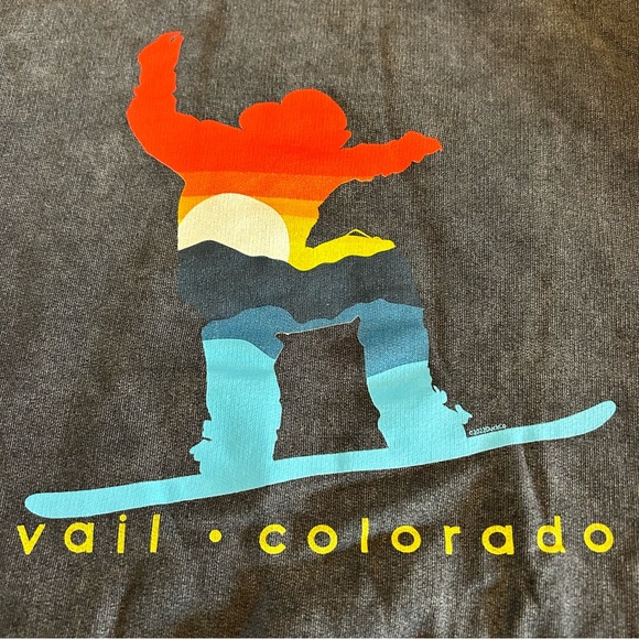 NEW Vail Colorado Snowboard Hooded Sweatshirt Duck Co Acidwash Gray Large - Picture 6 of 7